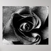 SCHWARZE ROSE POSTER (Vorne)