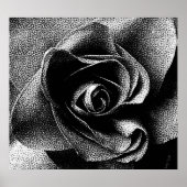 SCHWARZE ROSE POSTER (Vorne)