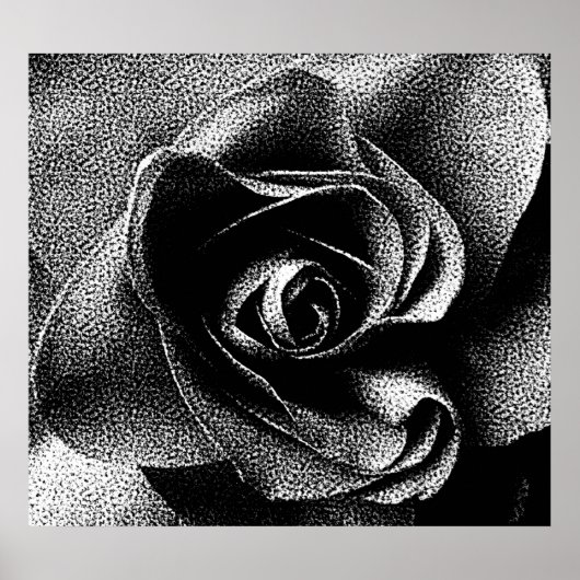 SCHWARZE ROSE POSTER (Vorne)