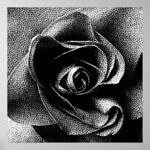 SCHWARZE ROSE POSTER
