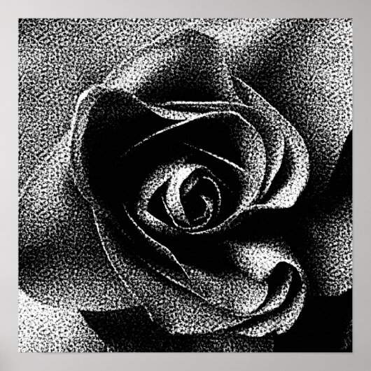 SCHWARZE ROSE POSTER (Vorne)
