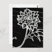 Schwarze Rose Postkarte (Vorne/Hinten)