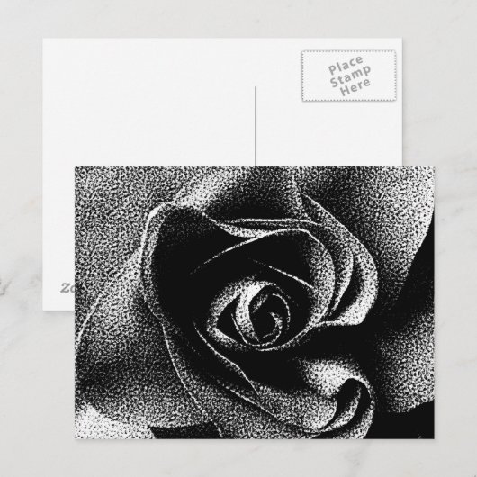 SCHWARZE ROSE POSTKARTE (Vorne/Hinten)