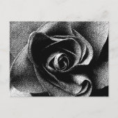 SCHWARZE ROSE POSTKARTE (Vorderseite)