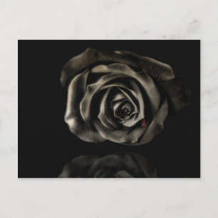 Schwarze Rose Postkarte