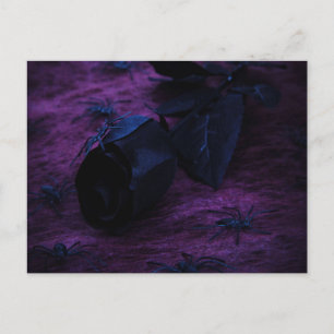 Schwarze Rose Postkarte