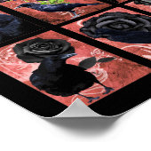 Schwarze Rose ravens und krähen gotische Kunst Poster (Ecke)
