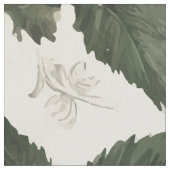 Schwarze Rose Stoff (Nahaufnahme)