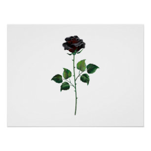 Schwarze Rosenblume Poster