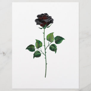 Schwarze Rosenblüte Briefbogen
