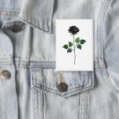 Schwarze Rosenblüte Button (Insitu)