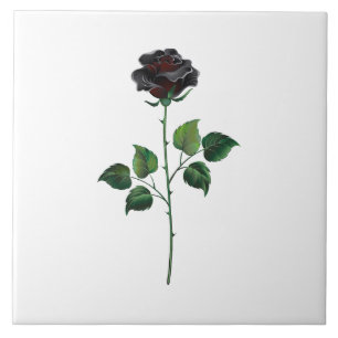 Schwarze Rosenblüte Fliese