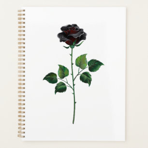Schwarze Rosenblüte Planer