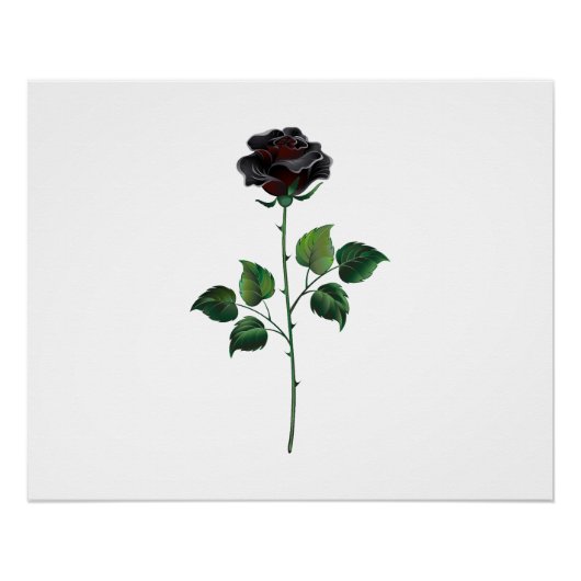 Schwarze Rosenblüte Poster (Vorderseite)