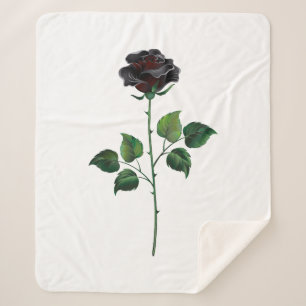 Schwarze Rosenblüte Sherpadecke
