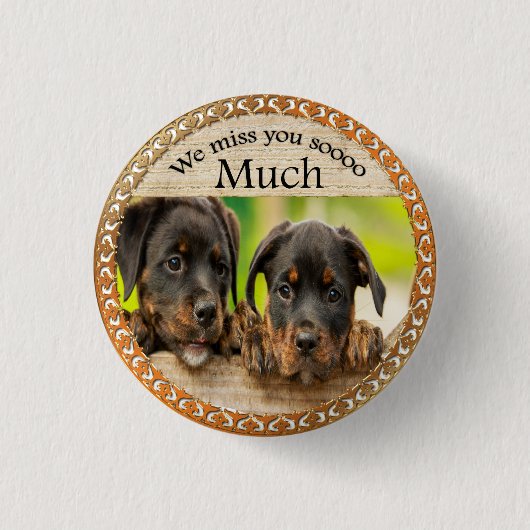 Schwarze Rottweiler niedliche Hunde mit traurigen Button (Vorderseite)