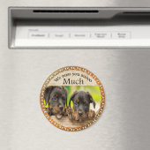 Schwarze Rottweiler niedliche Hunde mit traurigen Magnet (In Situ (Geschirrspüler))