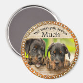 Schwarze Rottweiler niedliche Hunde mit traurigen  Magnet (Vorderseite/Rückseite)