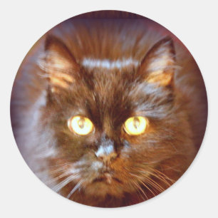 Schwarze Runder Aufkleber