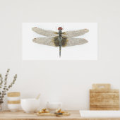 Schwarze Saddlebags Dragonfly Poster (Küche)