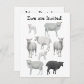 Schwarze Schaf-Einladung Einladung (Vorne/Hinten)