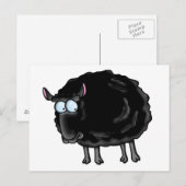 Schwarze Schafe Postkarte (Vorne/Hinten)