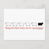 Schwarze Schafe Postkarte (Vorderseite)