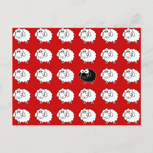 Schwarze Schafe Postkarte (Vorderseite)