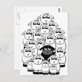 Schwarze Schafe Postkarte (Vorne/Hinten)
