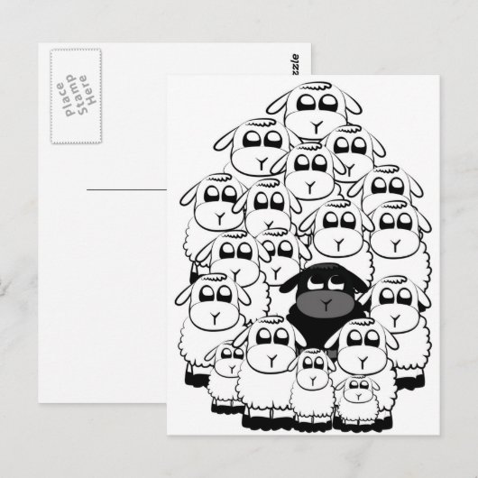 Schwarze Schafe Postkarte (Vorne/Hinten)