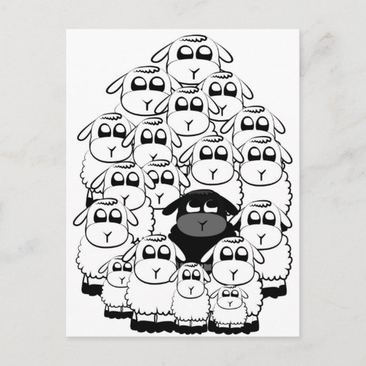 Schwarze Schafe Postkarte (Vorderseite)