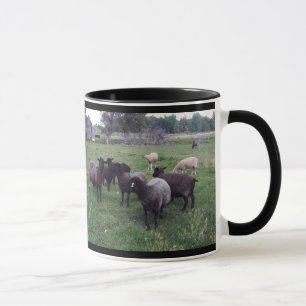 Schwarze Schafe Tasse
