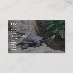 Schwarze Schildkröte mit langem Hals auf den Visitenkarte
