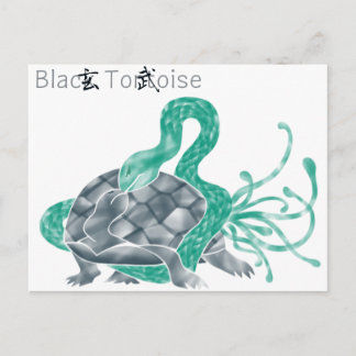 Schwarze Schildkröte(schwarz) Postkarte