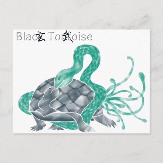 Schwarze Schildkröte(schwarz) Postkarte (Vorderseite)