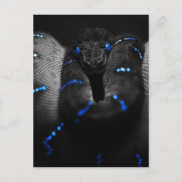 schwarze Schlange Postkarte