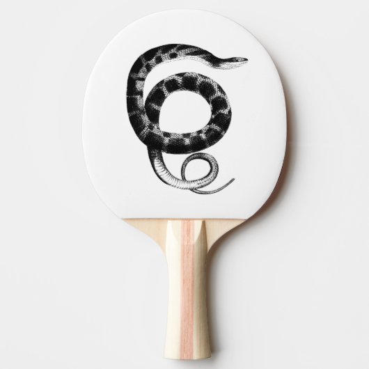 Schwarze schlicht-Bauchschlange Tischtennis Schläger (Vorderseite)