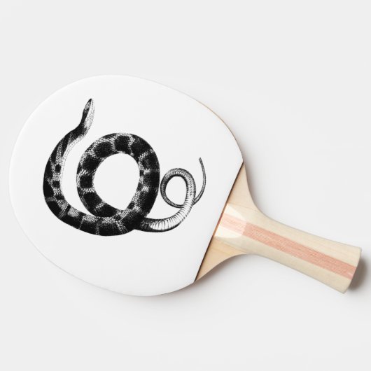 Schwarze schlicht-Bauchschlange Tischtennis Schläger (Seitenansicht)