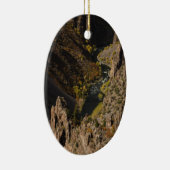 Schwarze Schlucht des Gunnison Keramikornament (Rechts)