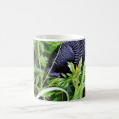 Schwarze Schnecke im Gras Kaffeetasse (Mittel)