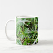 Schwarze Schnecke im Gras Kaffeetasse (Links)