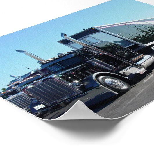 Schwarze Schönheit Poster (Ecke)