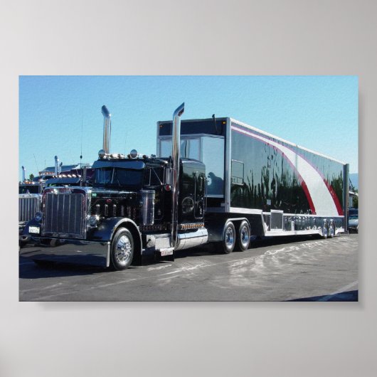 Schwarze Schönheit Poster (Vorne)