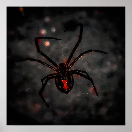 Schwarze Schönheit Poster (Vorne)