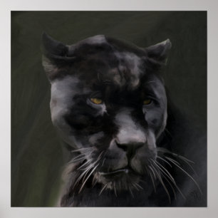 Schwarze Schönheit Poster