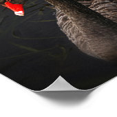 Schwarze Schönheit Poster (Ecke)