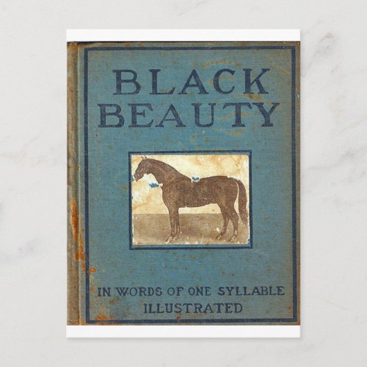 Schwarze Schönheit Postkarte (Vorderseite)