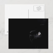 Schwarze Schönheit - Postkarte (Vorne/Hinten)