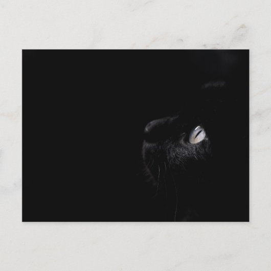 Schwarze Schönheit - Postkarte (Vorderseite)