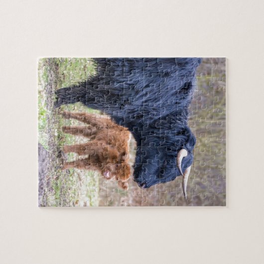 Schwarze schottische Hochländermutterkuh mit Puzzle (Horizontal)